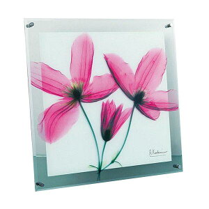 A[g |X^[ CeA Ǌ| ǊG A[gpl A[g{[h G A[g G EH[fR[V Ǐ fBXvC A[g|X^[