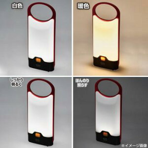 �y���_���g���C�g �Ɩ� ���C�g �V��Ɩ� �Ɩ���� �C���e���A�Ɩ� �Ǌ|���Ɩ� �ԐڏƖ� �C���e���A���C�g �d�C ���r���O �_�C�j���O �L�b�`�� �H�� ���� �L��