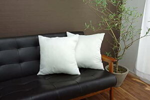 V[gNbV `FApbh `FA}bg zc `FANbV ֎q q _CjO`FA ǂ LbY    V[g  p 傫 唻 k  2 45×45 Rbg 