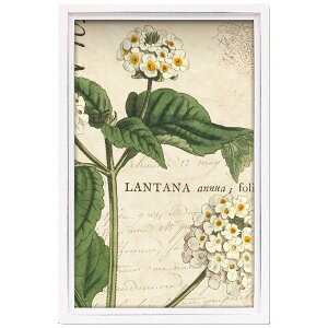 CeA Ǌ| ǊG A[gpl A[g{[h G A[g G EH[fR[V Ǐ fBXvC A[g|X^[