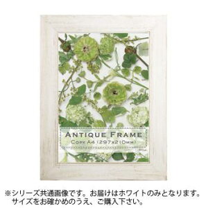 |X^[t[ tHgt[ z g t[ |X^[pl pl z