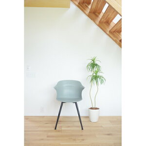 _CjO`FA ֎q  k g y  _ JtF PC e[N ݑ AeB[N wK `FA  O[   55 s53.5 80 ʍ45