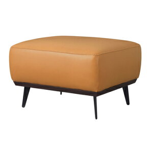 Ibg} `FA Xc[ u Ⴂ ֎q e[N ݑ   k AeB[N  `FA[  | l炵 RpNg ~j   70 s62 44