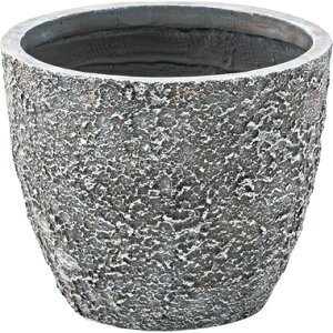 Jo[ t[x[X AeB[N Be[W  Vv g k ϗtA 핗  31 s31 25