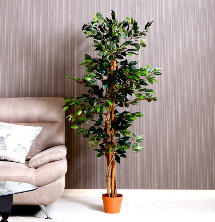 楽天市場 観葉植物 フェイクグリーン 造花 大型 人工 植物 アートフラワー インテリア インテリアグリーン フェイク おしゃれ 室内 鉢 植木鉢 木 お祝い 家具 インテリア通販room