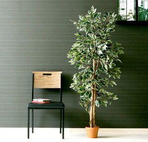 ϗtA tFCNO[  ^ lH A A[gt[ CeA CeAO[ tFCN    Aؔ  j