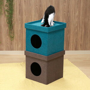 �L �� �y�b�g �x�b�h �~�p �~ �� ���^�� �g���� �������� ������ ������ ������ �P �����^�� ��� ��v �� �h�� ���� �ʔN