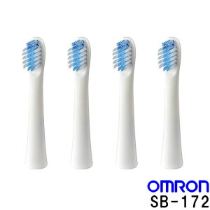 �I������ �d�����u���V �ւ��u���V ���u���V ���Ώ����u���V SB-172 4�{
