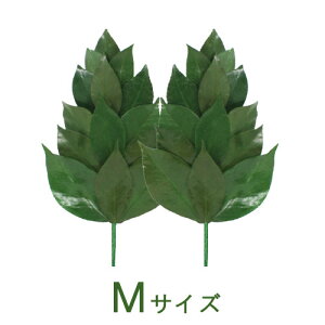 vU[uht[  d _I _   { OgY  MTCY ʃ^Cv