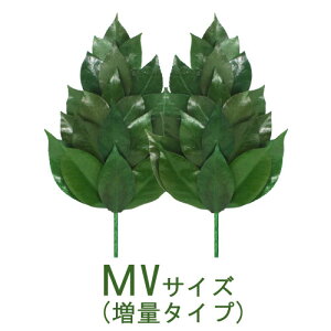 vU[uht[  d _I _   { OgY  MVTCY ʃ^Cv