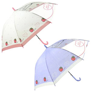 q P 55cm ̎q w qp LbY P   t[cC  킢