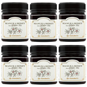 マヌカハニー MGO250+ はちみつ 蜂蜜 オーストラリア産 マヌカ 250g 天然 6個セット