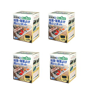 Jǂ l܂ JƂlbg ͗t t悯 6m 4 mebN