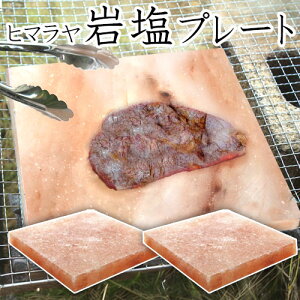 ≖v[g q}≖ 2 o[xL[ BBQ AEghA 18×18cm