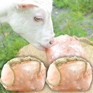 ybg Aj}p ≖ Aj}\g ƒ{pq}≖ 2`3kg ybg≖ 2