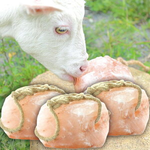 ybg Aj}p ≖ Aj}\g ƒ{pq}≖ 2`3kg ybg≖ 3