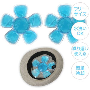 N[pbh Xq wbhN[ q ACX wbhN[[ Ђpbh M 2