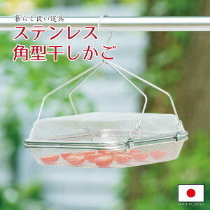  XeX { V  ؃hCt[c  p^ JS