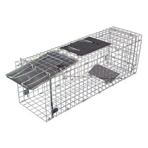 ߊl  ߊl Aj}Lb`[ ߊl STCY