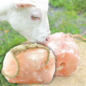 ybg Aj}p ≖ Aj}\g ƒ{pq}≖ 2`3kg ybg≖