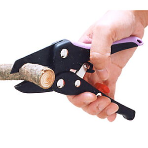 ͂̂Ȃ `Fbgp[E~j SE-71