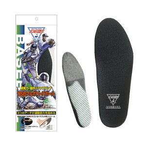  \{ x[X{[ \{ C\[ ~ Ռz Y fB[X 싅 XpCN