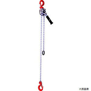 �ۈ�`�F���u���b�N Y2-K2510 �ۈ� Y2�`�F�[�����o�[�z�C�X�g250kg(Y2-25)