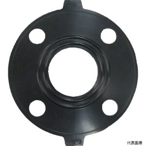 �ϐ����w�H�� PI20 �G�X���� IIR-X�p�b�L�� JIS10K 20A