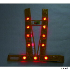 ~YPC 3020001 LED^XL^SxXgułvS[h^LED