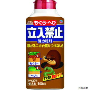 yX^v[zA[X 042613 A[X K[fEւї֎~