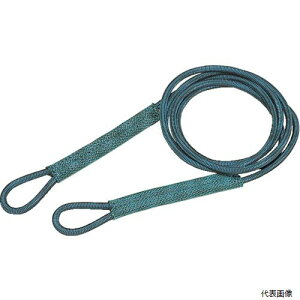 �g���X�R SP-93 TRUSCO �Z�t�e�B�p���[���[�v �V���u���Ȃ� 9mmX3m