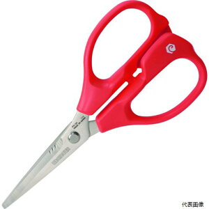 yX^v[zGWjA PH-56R ENGINEER SrnT~MP