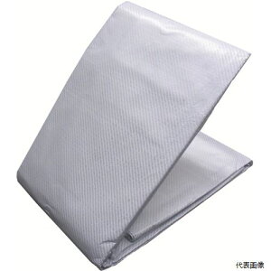 yX^v[zH STSC2736  ^[s[ Xm[ebNXEX[p[N[(ՔMV[g) 2.7m×3.6m