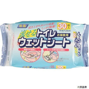 yX^v[zAY}H 401108930 azuma gCCp[EFbgV[g30PSQ058 (30)