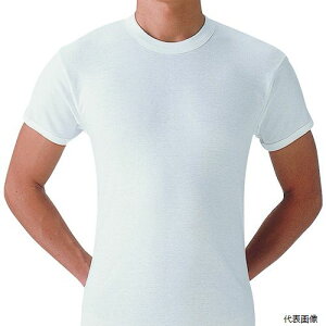 O[ SV61142-M GUNZE 炩ێ2gM