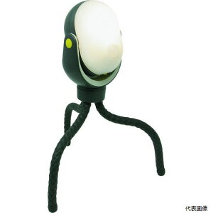 yX^v[zTV ASL-097 RITEX ǂłZT[Cg300