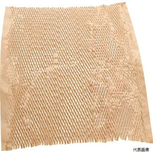 yX^v[zgXR CP2530100 TRUSCO ɏՍ NbVy[p[ 250×300 100