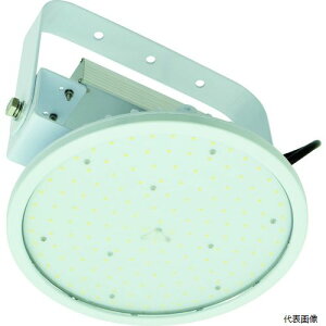 H L100V2-P-HW-50K NICHIDO nCfBXN100W ݉^ F 110x