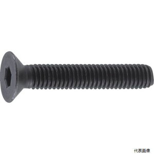 gXR B73-1230 TRUSCO ZptM{g  SlW M12×30 10{