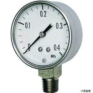 v GK20-271-0.1MP  `͌v