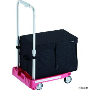 (s) gXR WP-2G-P-THB TRUSCO  JeBI~j weego ȉԗ sN THBt