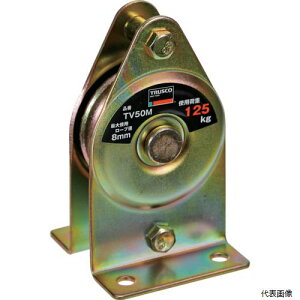 �g���X�R TV50M TRUSCO �Œ芊�Ԃ��Č^���