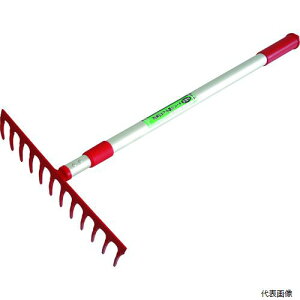 L{V 4036 GS Ő̃Tb`背[L Lk