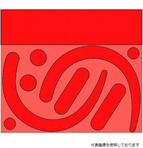 yX^v[z335-31R jbg tbNXebJ[ (u )