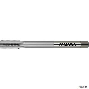 �햞�a���쏊 LS-N-CT-P4-150-M14X1.5-3P ���}�� �����O�V�����N���d�n���h�^�b�v LS-N-CT L150 P4 M14X1.5 3P