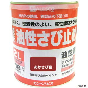 JynsI 00137645241020 KANSAI K~߃yCg 2.0L ѐF