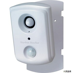 yX^v[zGDX-SP ^JCN ϓglRQy K[foA X|bg^Cv