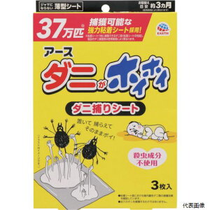 yX^v[zA[X 024619 A[X _jzCzC _j߂V[g