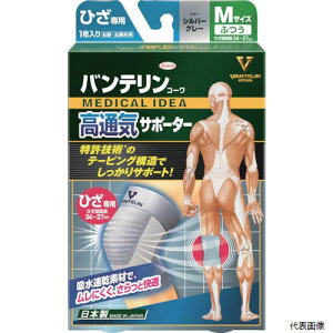 a 23290 oeʋCT|[^[ ЂpӂTCY Vo[O[