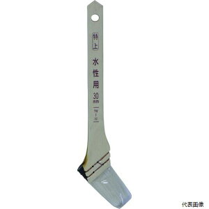 �A�T�q�y�� 204820 ���� ���㐅���p 30MM TW-30